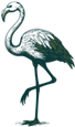 Republique-Flamingo-Logo-Transparent-68x115px
